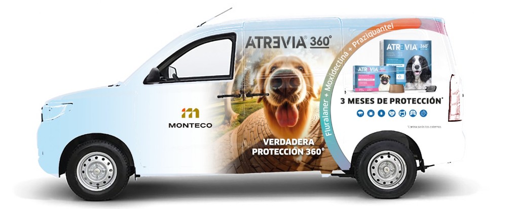 Rotulación Vehicular — Impresión | Soluciones Total Publicidad Corporativa